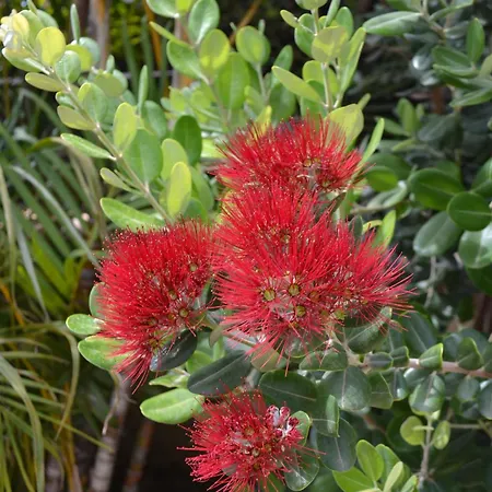 Sweet House Casa vacanze Villasimius