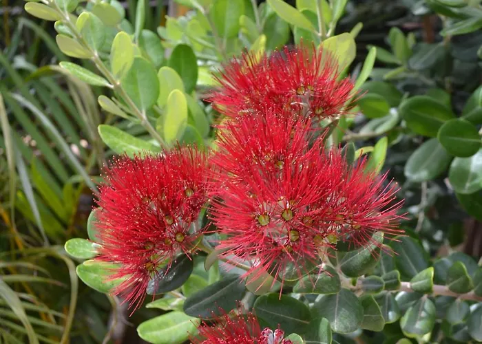 Sweet House Σπίτι διακοπών Villasimius